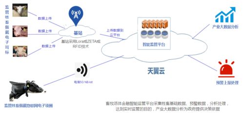天翼终端展 智慧农业产业园的物联网技术服务新图景